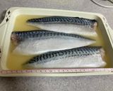 塩鯖で作る焼き鯖寿司作り方3写真