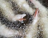 サクサク料亭みたい♪天ぷらの衣＊使いきり作り方2写真