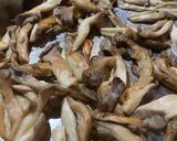 Mushroom/Shiso Pasta作り方5写真