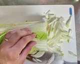 白菜とわかめのさっぱりサラダ作り方2写真