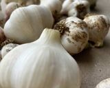 【夏の食欲増進】　にんにくオリーブオイル作り方4写真