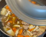 豚肉と厚揚げのカレー煮作り方9写真