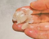 マグロのカマのオイスターソース煮作り方5写真