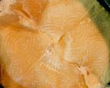 マグロのカマのオイスターソース煮作り方11写真