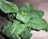 サグ・ポテト　＊ホウレンソウのカレー作り方5写真