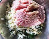 野菜 たっぷり ヘルシー 餃子作り方1写真