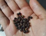 手羽先のトマト煮(圧力鍋)作り方4写真
