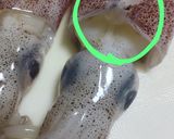 塩で臭み消し！イカの下処理＊皮むき簡単作り方4写真