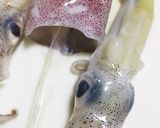 塩で臭み消し！イカの下処理＊皮むき簡単作り方5写真