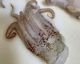 塩で臭み消し！イカの下処理＊皮むき簡単作り方7写真