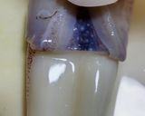塩で臭み消し！イカの下処理＊皮むき簡単作り方10写真