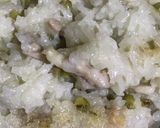 豚肉と緑豆入りのもち米ご飯作り方7写真