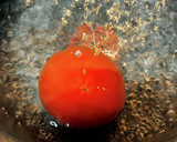 漬けるだけ！トマトの丸ごと漬け作り方1写真