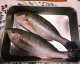天然真鯛やイサキ等の美味しい食べ方作り方4写真