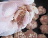 豚こまで作るうまうまチーズ肉団子作り方3写真