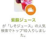 紫蘇ジュース作り方11写真