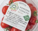 夏野菜のフリット〜チミチュリソースを添え作り方7写真