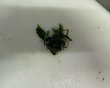 胡瓜を大量消費！胡瓜のゆかり和え作り方3写真