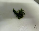 胡瓜を大量消費！胡瓜のゆかり和え作り方3写真