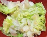 玉ねぎ&レタスをペロリと食べちゃうサラダ作り方2写真