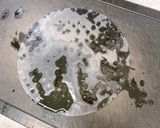 生姜の酢漬けの生春巻き♪醤油麹マヨソース作り方4写真