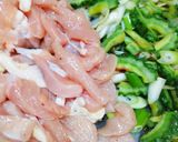 ゴーヤと鶏むね肉のあっさりスタミナ料理作り方6写真