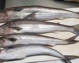 エソで薩摩揚げ作り方1写真