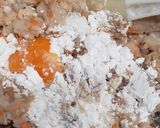 エソで薩摩揚げ作り方7写真