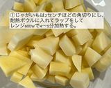 ツナとマッシュポテトの春巻き作り方1写真