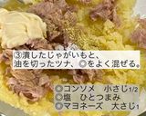 ツナとマッシュポテトの春巻き作り方3写真