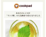 甘さ控えめ★青しそジュース★りんご酢作り方12写真