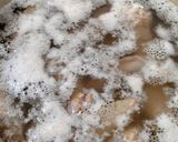 安価な鶏ガラを使った元気スープです♡作り方1写真