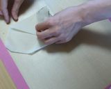 ゴーヤとひじきのオイスターソース春巻き作り方8写真