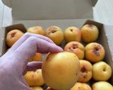 咳止め　食欲増進　あんず酒（杏露酒）作り方1写真