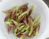腸活！爽やかみょうがの茎の甘酢漬け作り方4写真