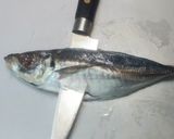 アジの開き直り（骨まで美味しい）作り方1写真