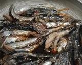 カタクチイワシの煮付け作り方5写真