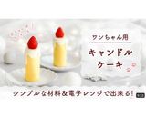レンジで簡単♡犬用キャンドルケーキ✨作り方20写真