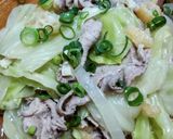 豚バラとキャベツと油揚げの簡単煮♡作り方6写真