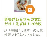 釜揚げしらすをのせただけ！先ずは！の冷奴作り方7写真