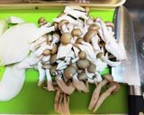 チーズポークチャップ作り方2写真