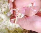 柿の神髄で作る酢キャベツ作り方2写真