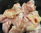 電気圧力鍋で作る茄子と鶏肉の簡単煮作り方2写真