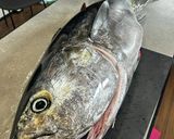 マグロ出汁ラーメン作り方1写真