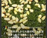 MIX nutsの生バジル ジェノベーゼ作り方17写真