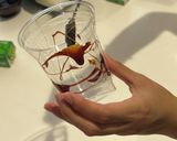 おうちで簡単！スタバ風焼き芋フラペチーノ作り方10写真