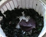 赤しその梅酢漬け(ゆかり)　ドイツにて作り方2写真
