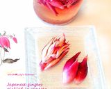 美味しい新生姜の漬物☀料理にいろいろ活用作り方10写真