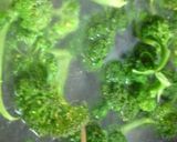 ブロッコリーのポタージュ作り方3写真