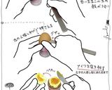 黄身がトロ〜リ、半熟卵のおいしい食べ方作り方1写真